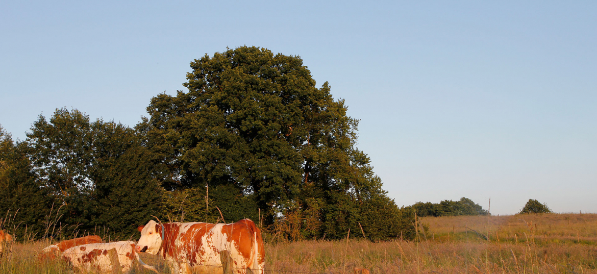 Foto: Ulrike von Dewitz