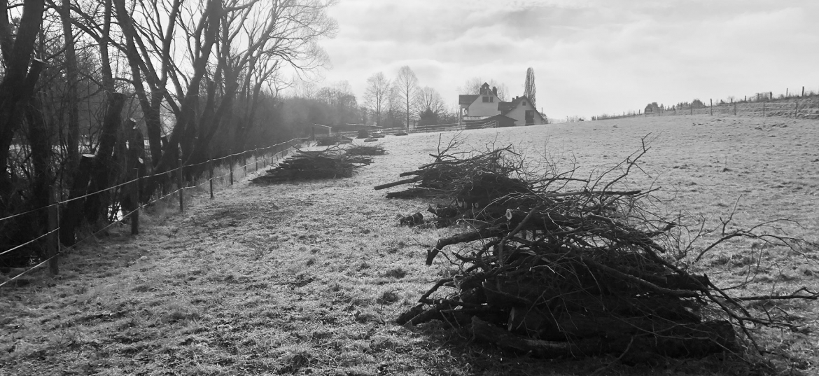 pflanzen. pflegen. sägen.