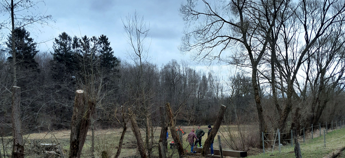 pflanzen. pflegen. sägen. II