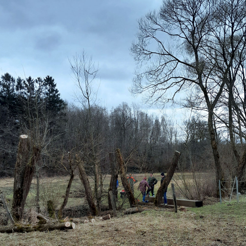 pflanzen. pflegen. sägen. II