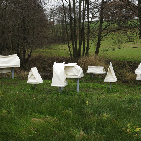 Bea Meyer | Cover | 2016