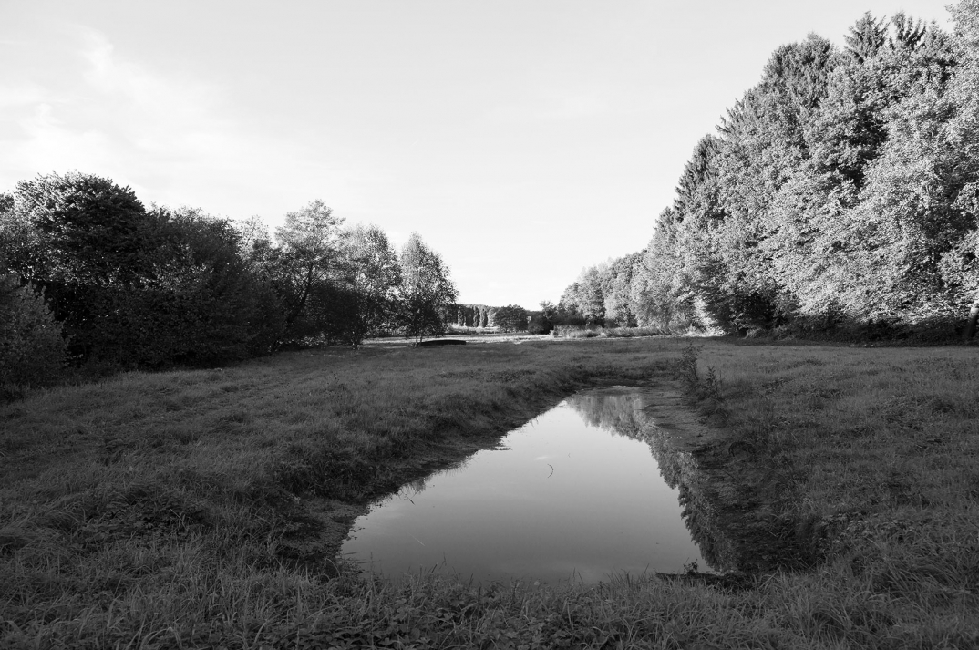 Blick ins Tal, Foto Werner Hannappel